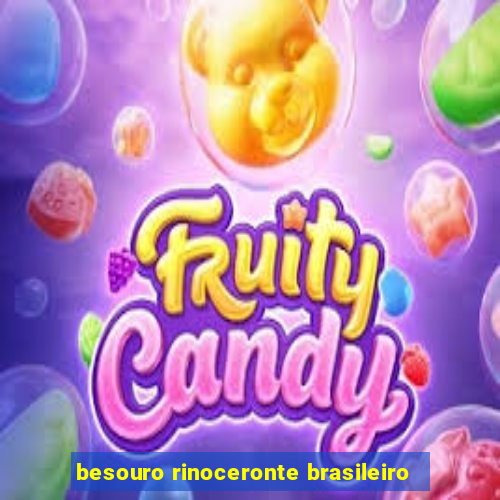 besouro rinoceronte brasileiro
